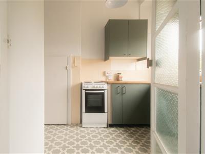 Picture 11